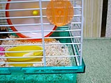 くりぬいたところ