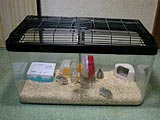 水槽正面
