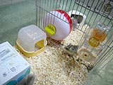 水槽内部
