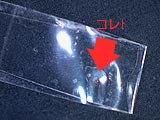 ダニの生け捕り