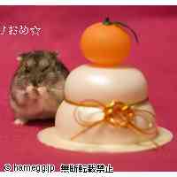 「あけましておめでとう☆」のハムスター