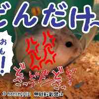 「ひゃー疲れる」のハムスター