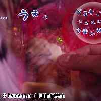 「ん〜っ。。。ビスケはうまいなぁ〜」のハムスター