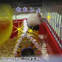 「ぼっ〜」のハムスター