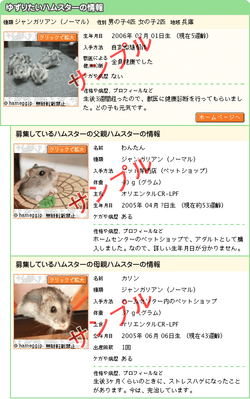 募集サンプル