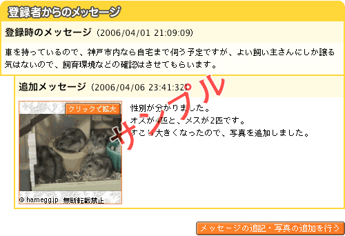 登録時のメッセージサンプル