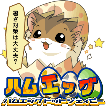 暑さ対策は大丈夫？